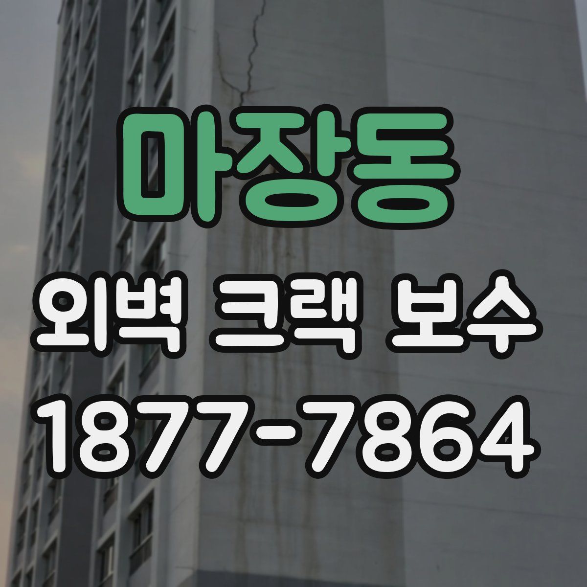 마장동 외벽 크랙 보수