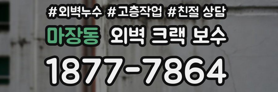 마장동 외벽 크랙 보수