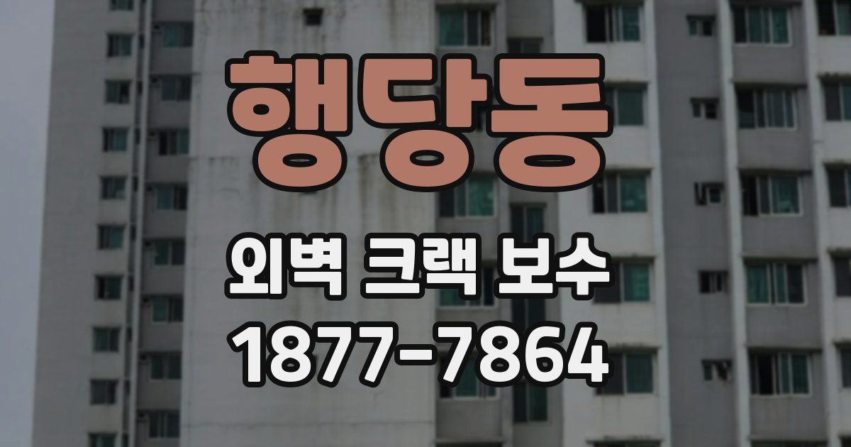 행당동 외벽 크랙 보수