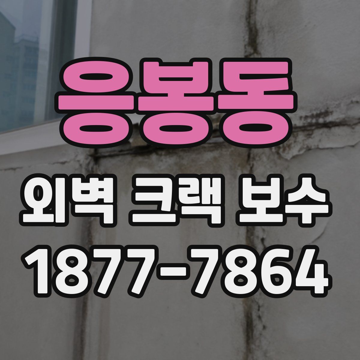 응봉동 외벽 크랙 보수
