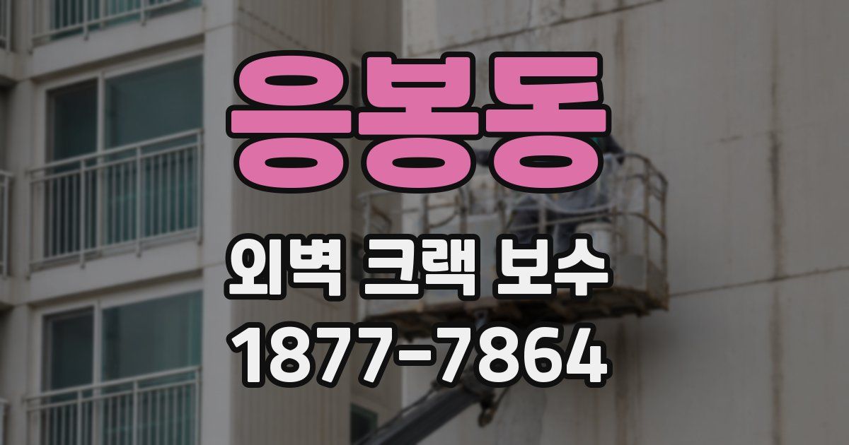 응봉동 외벽 크랙 보수