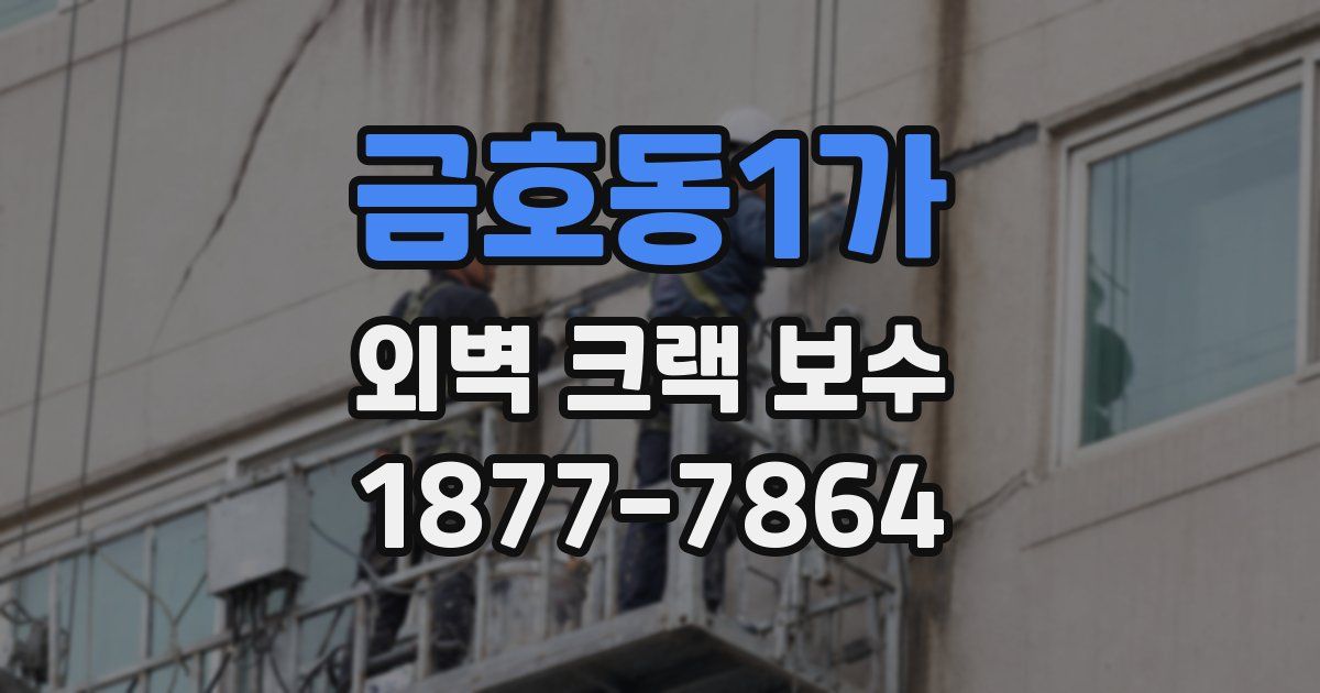 금호동1가 외벽 크랙 보수