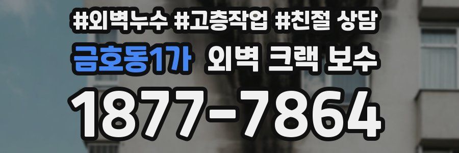 금호동1가 외벽 크랙 보수