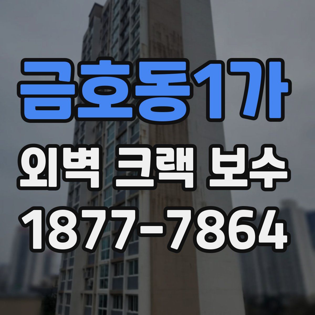 금호동1가 외벽 크랙 보수