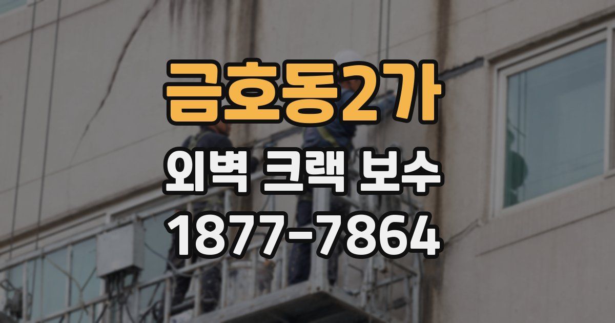 금호동2가 외벽 크랙 보수