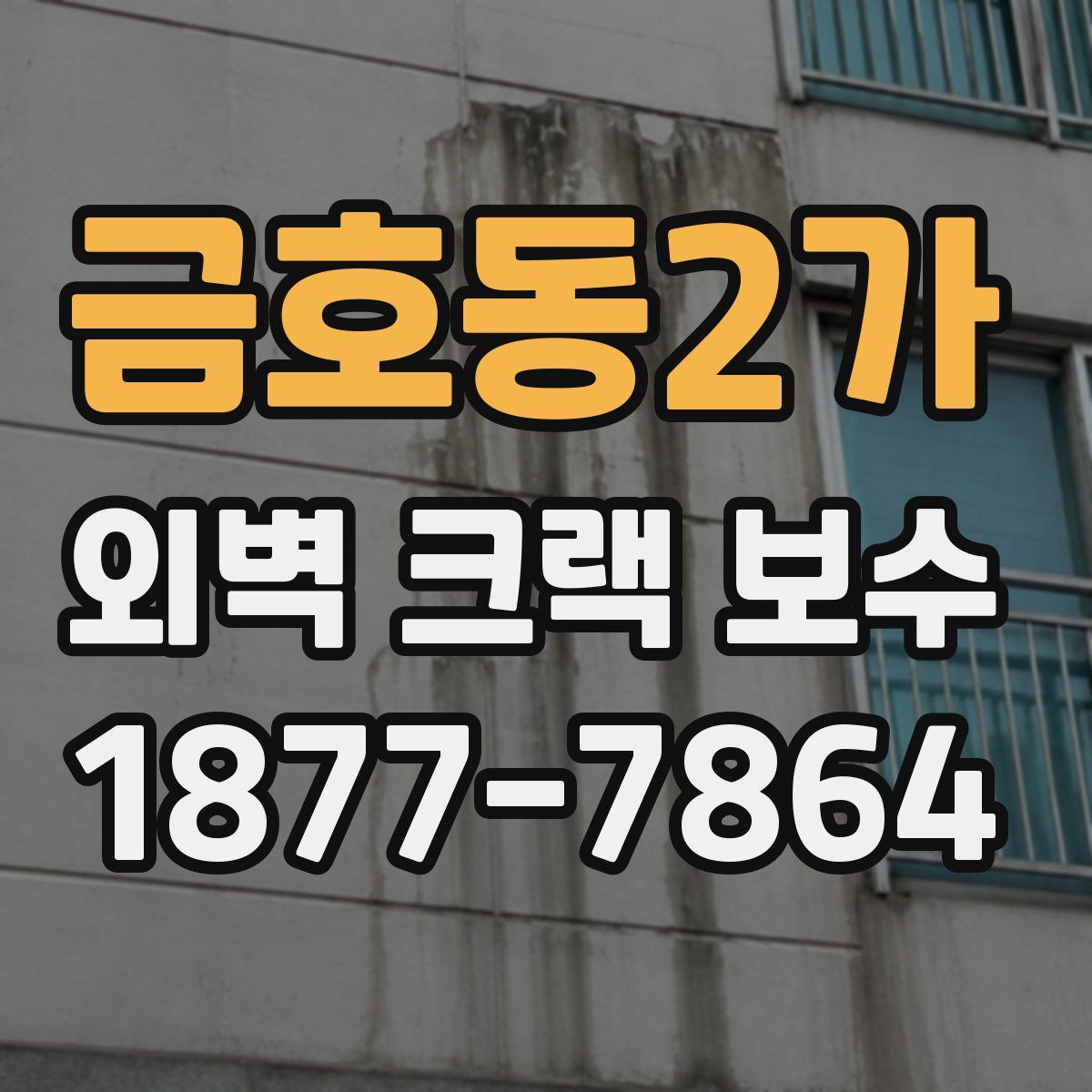 금호동2가 외벽 크랙 보수