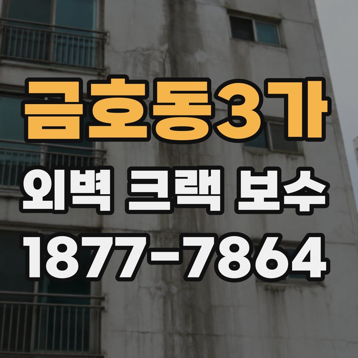 금호동3가 외벽 크랙 보수