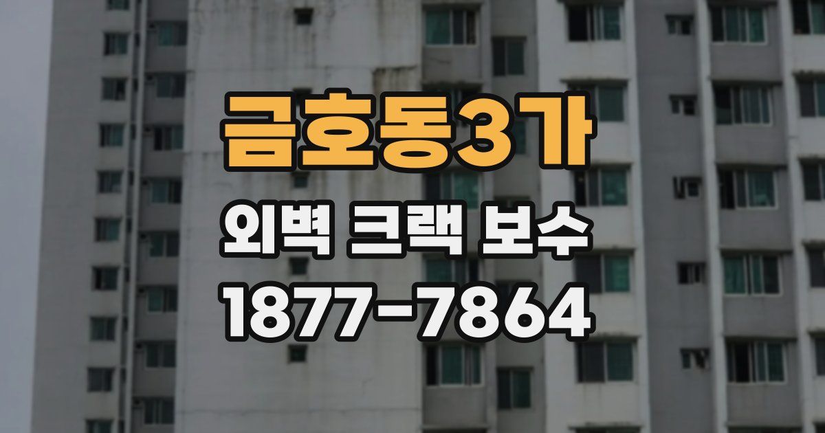 금호동3가 외벽 크랙 보수