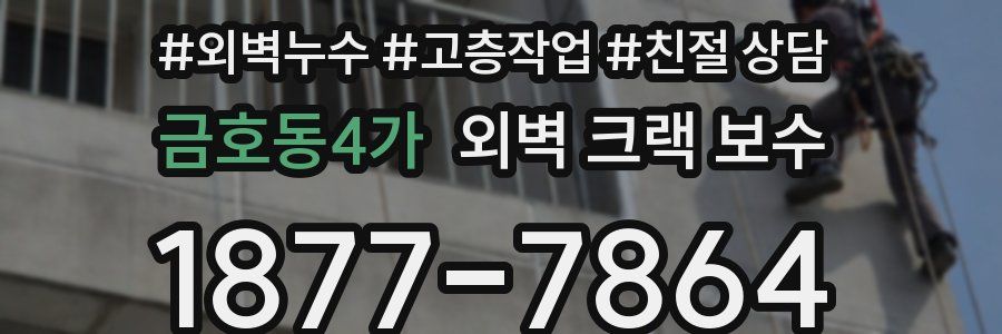 금호동4가 외벽 크랙 보수
