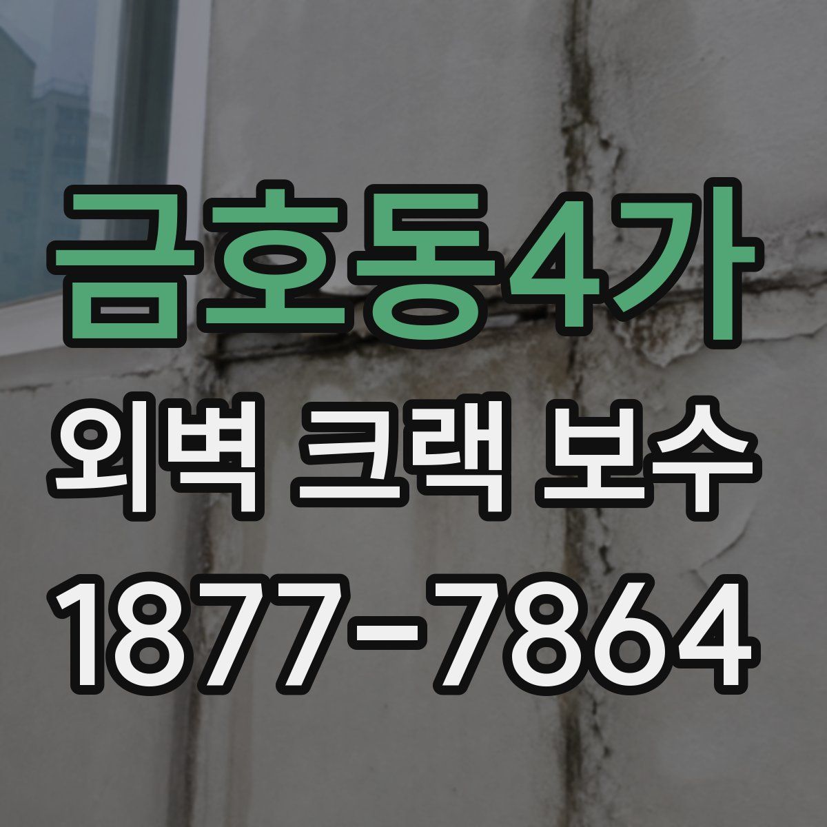 금호동4가 외벽 크랙 보수