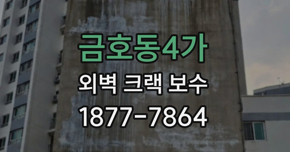 금호동4가 외벽 크랙 보수