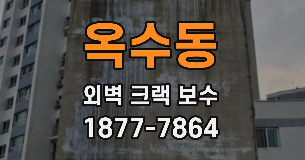 옥수동 외벽 크랙 보수