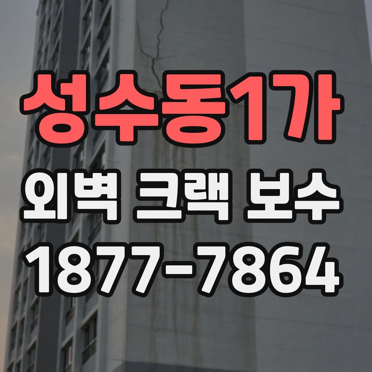 성수동1가 외벽 크랙 보수