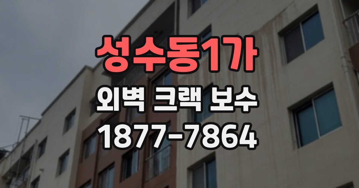 성수동1가 외벽 크랙 보수