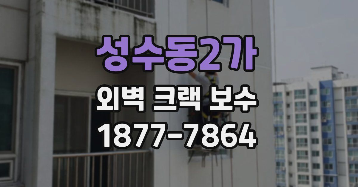 성수동2가 외벽 크랙 보수