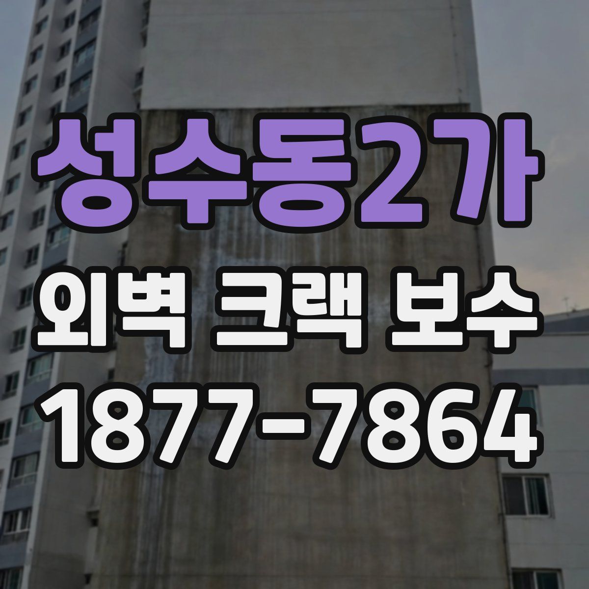 성수동2가 외벽 크랙 보수