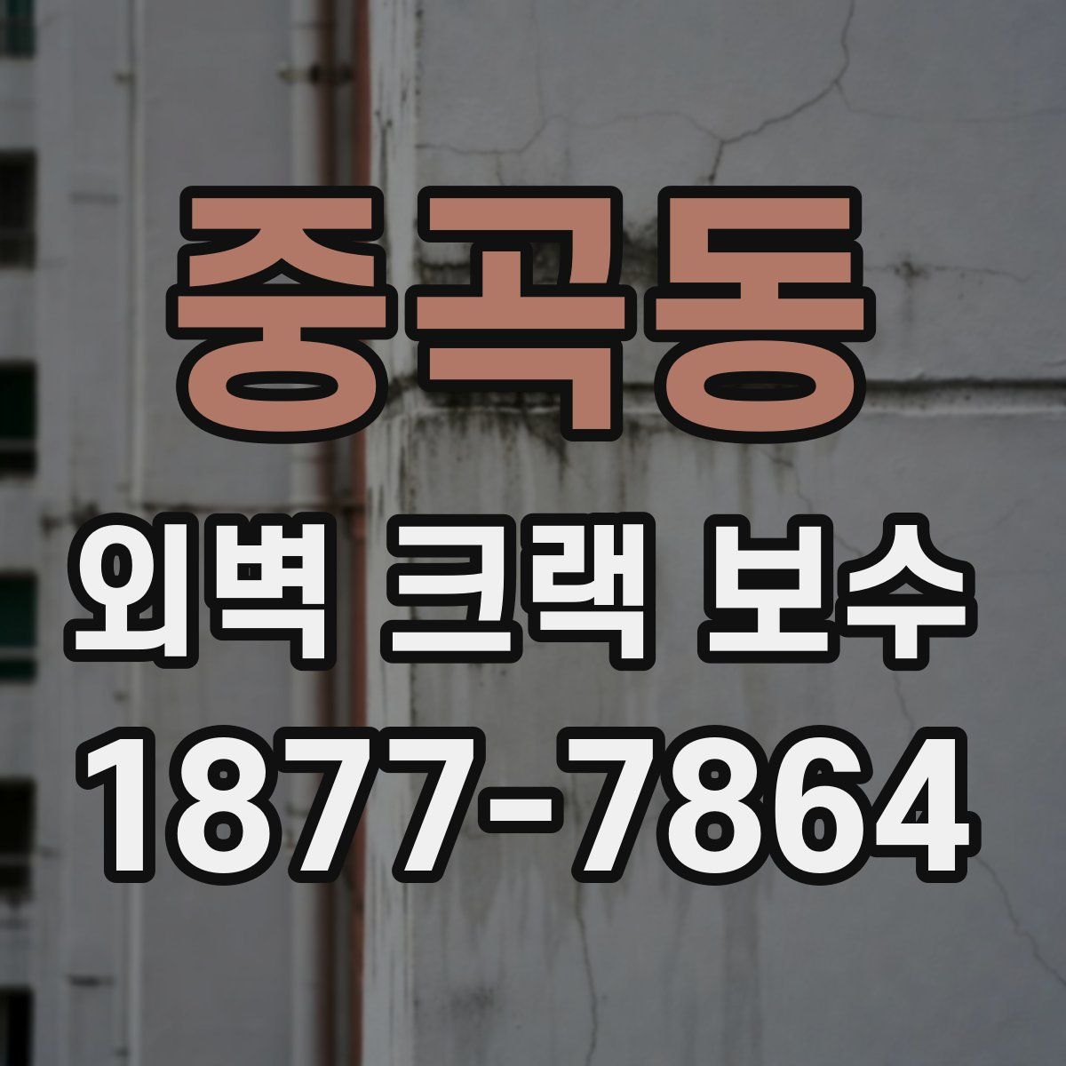 중곡동 외벽 크랙 보수