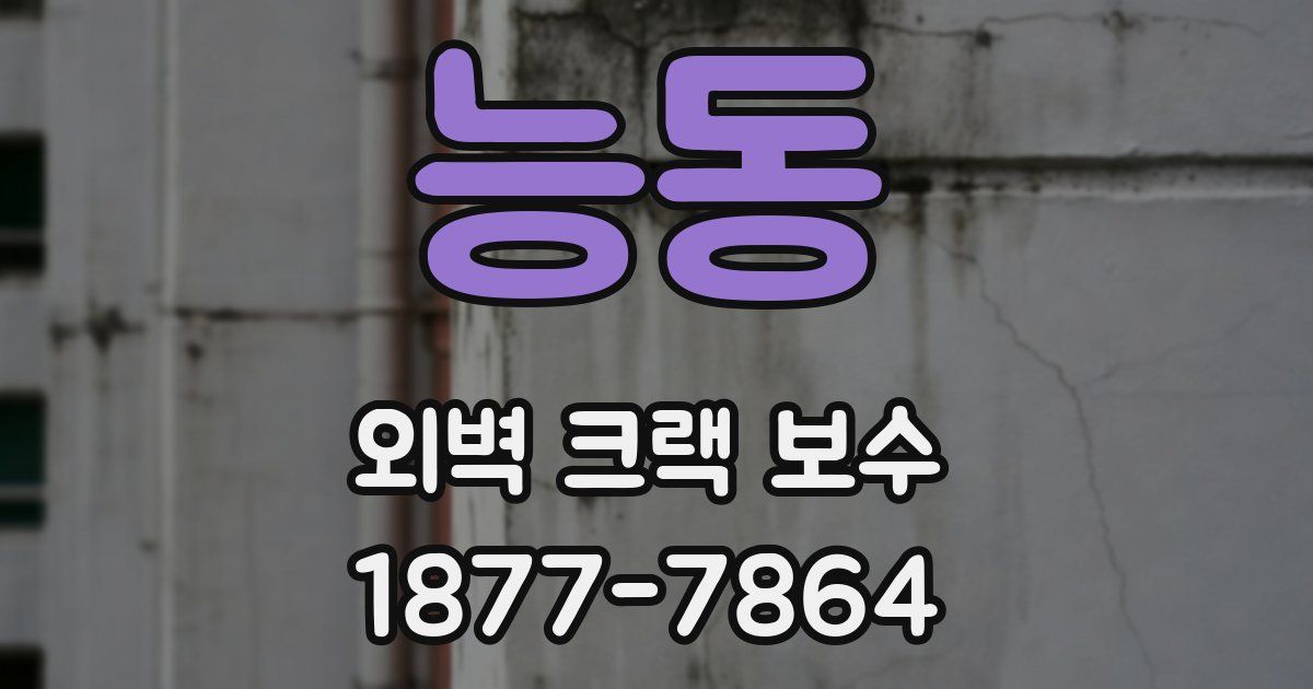 능동 외벽 크랙 보수