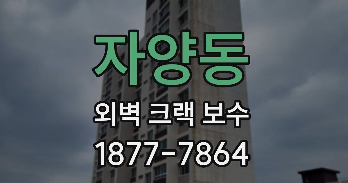 자양동 외벽 크랙 보수