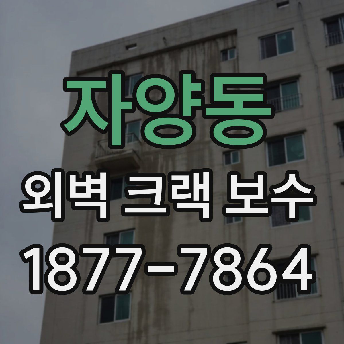 자양동 외벽 크랙 보수