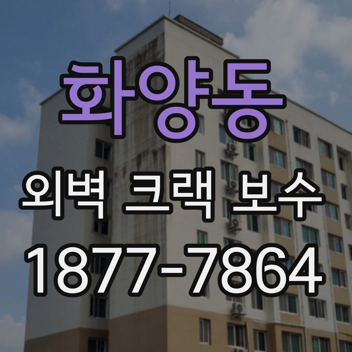 화양동 외벽 크랙 보수