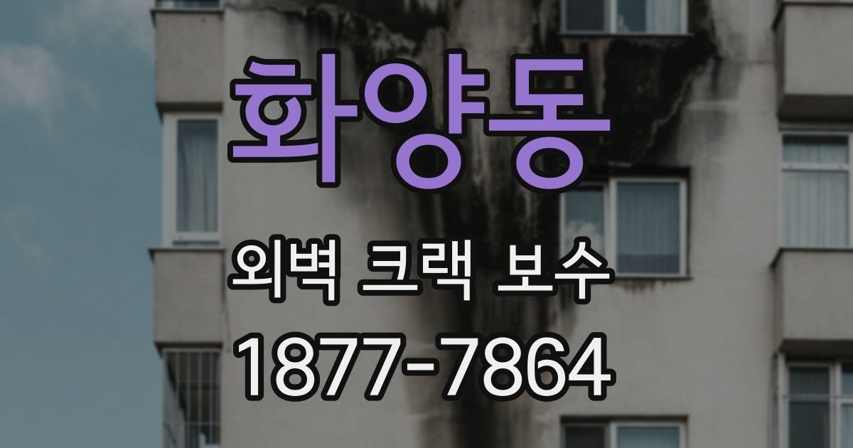 화양동 외벽 크랙 보수