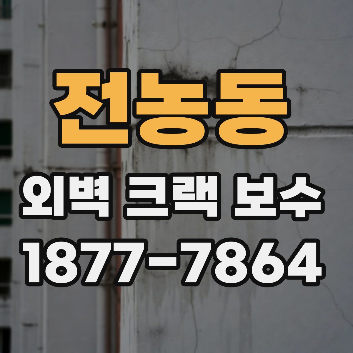 전농동 외벽 크랙 보수