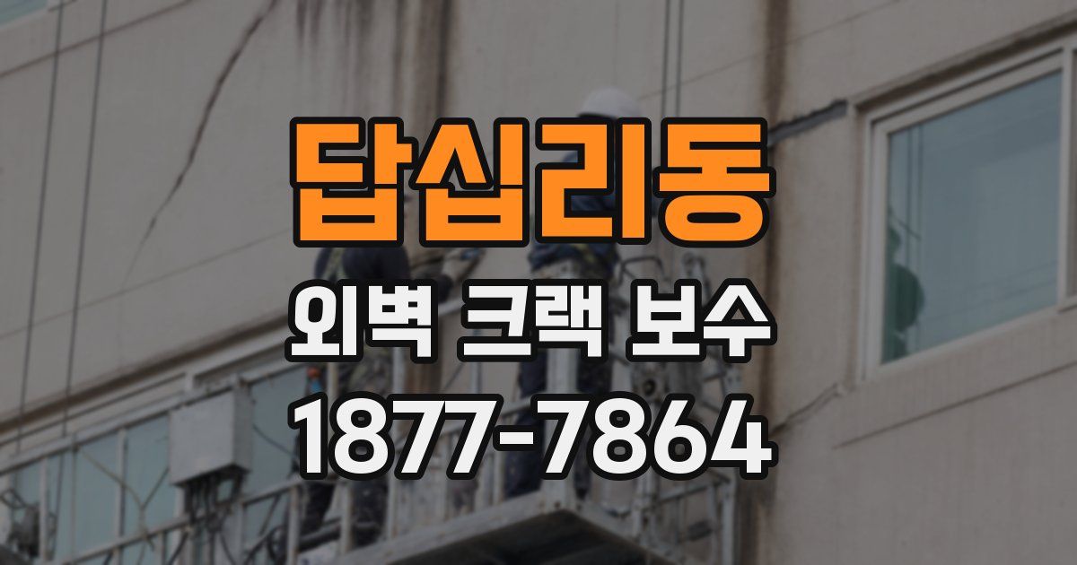 답십리동 외벽 크랙 보수