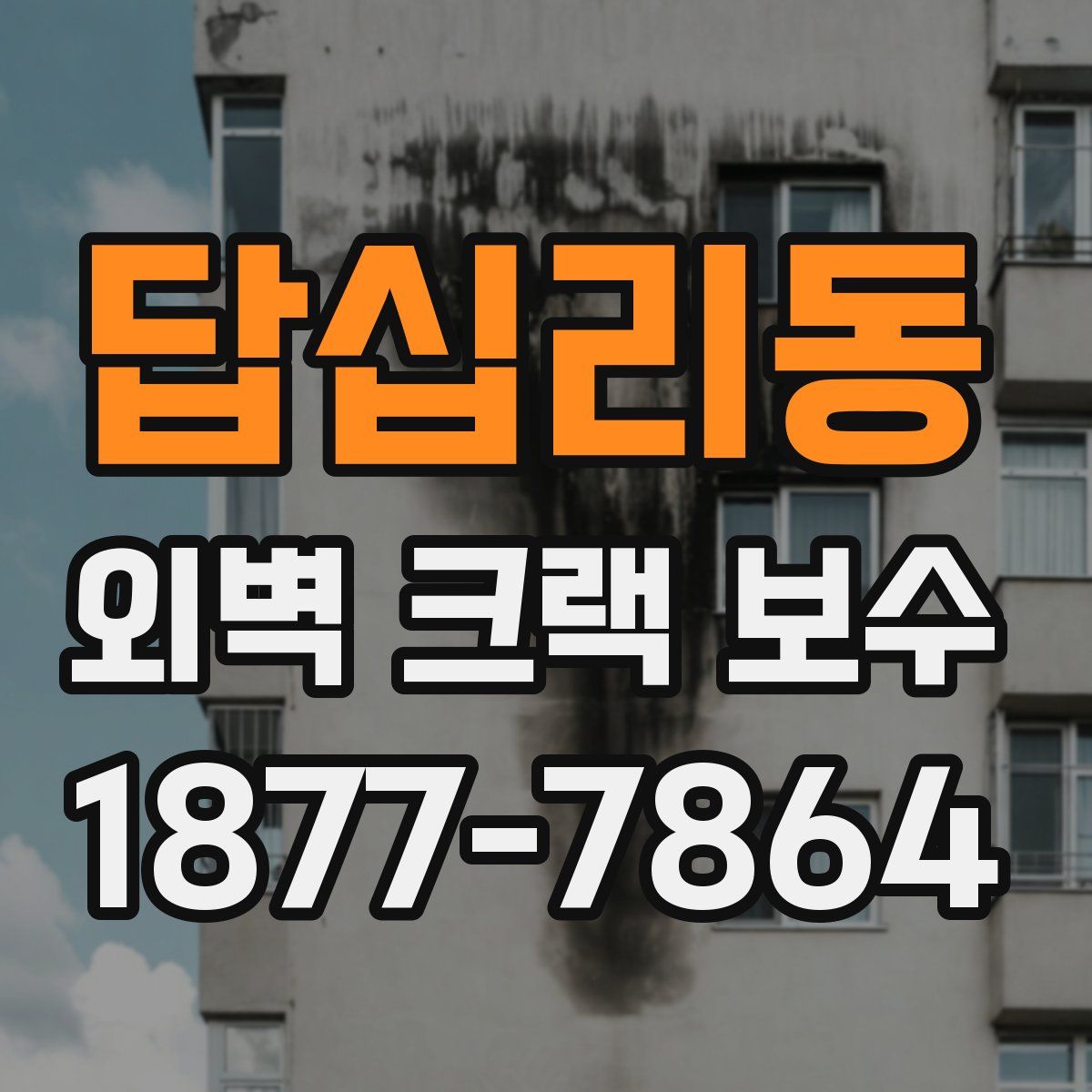 답십리동 외벽 크랙 보수