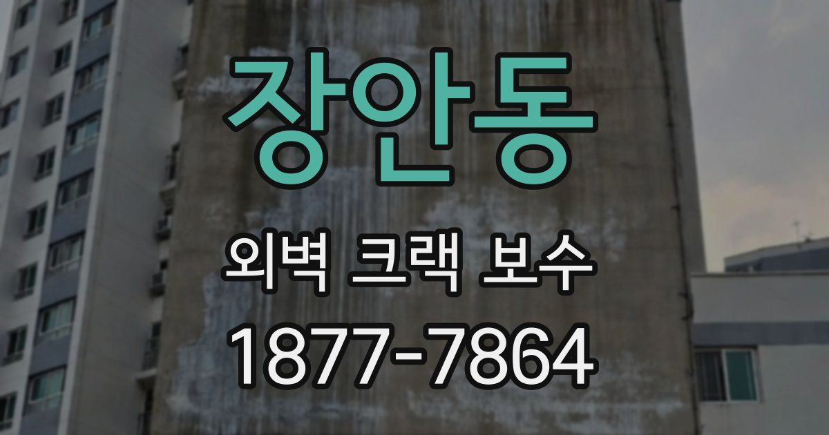 장안동 외벽 크랙 보수