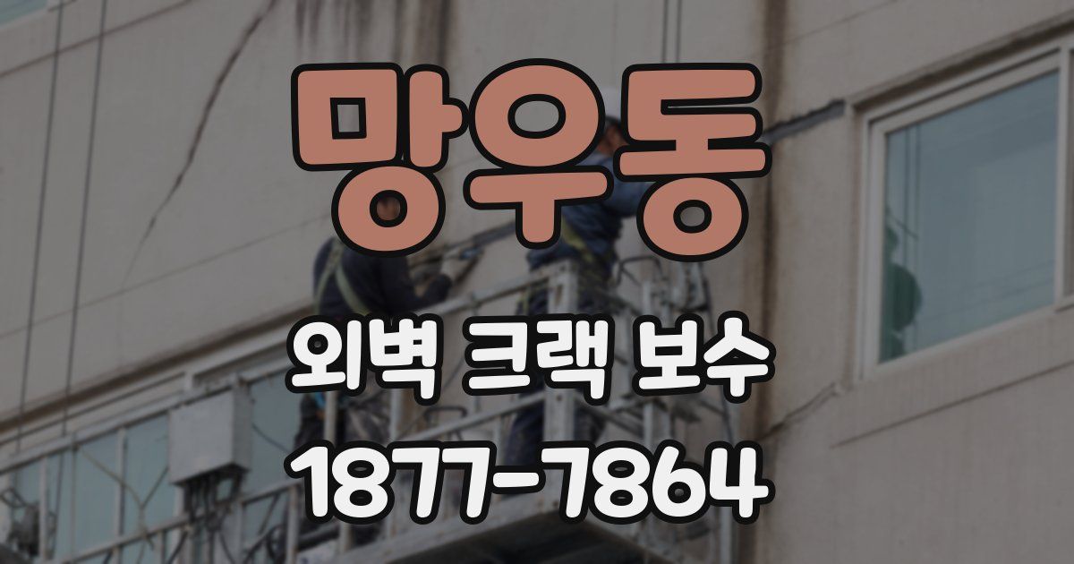 망우동 외벽 크랙 보수