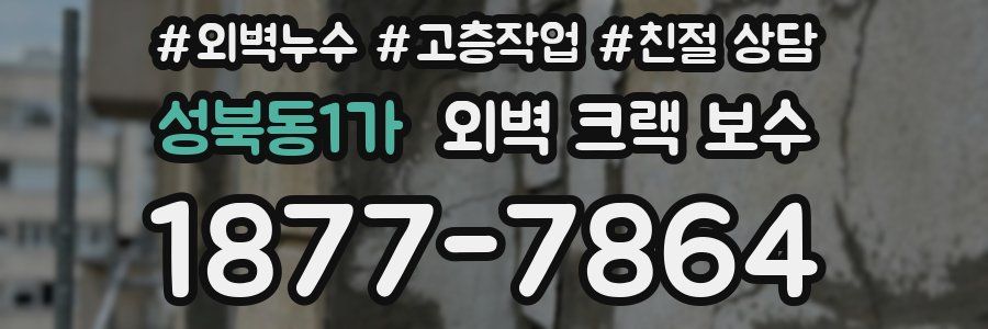 성북동1가 외벽 크랙 보수