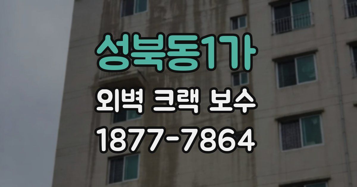 성북동1가 외벽 크랙 보수