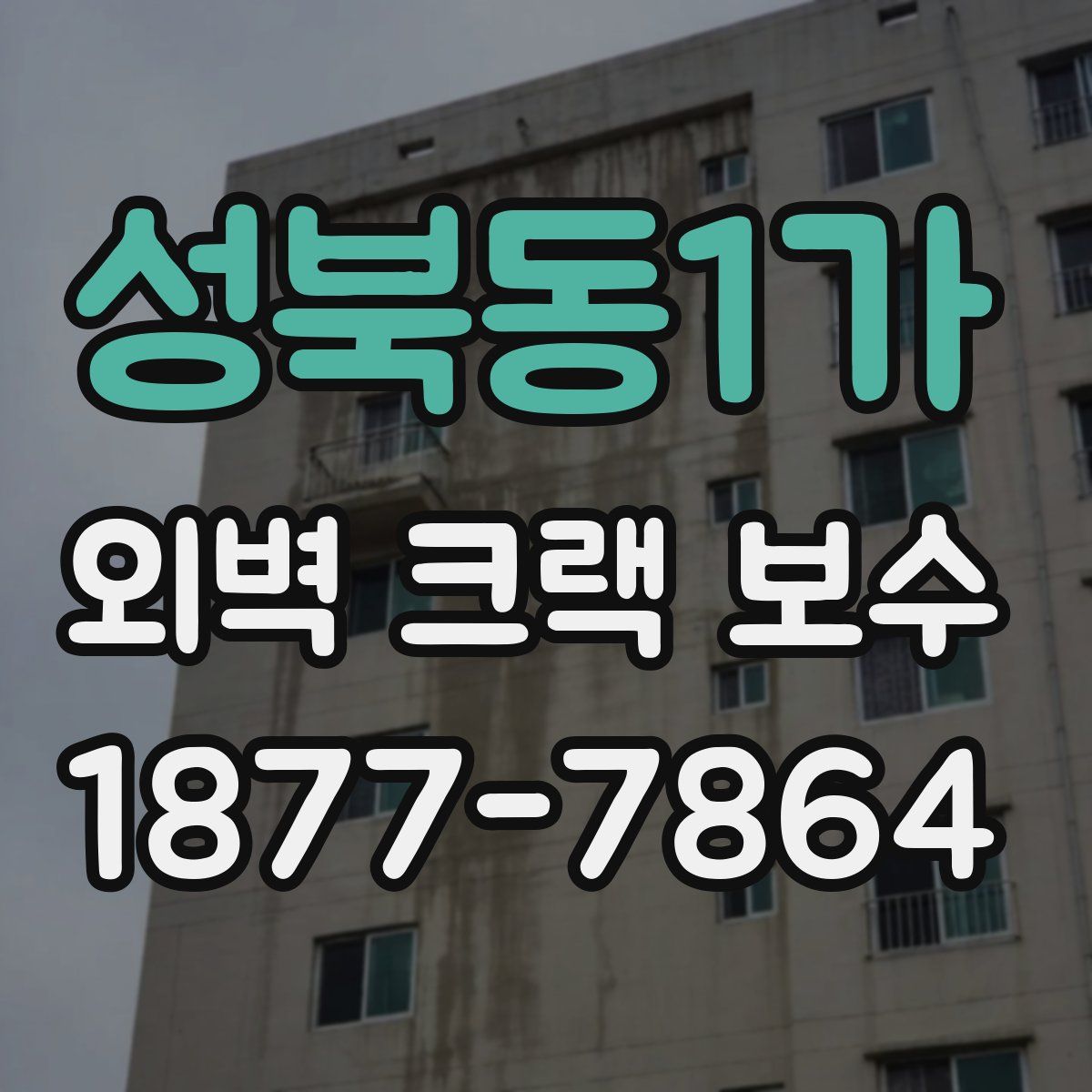 성북동1가 외벽 크랙 보수