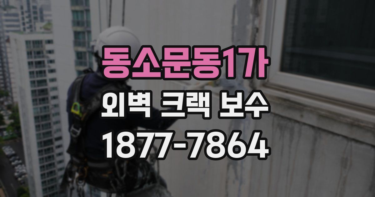 동소문동1가 외벽 크랙 보수