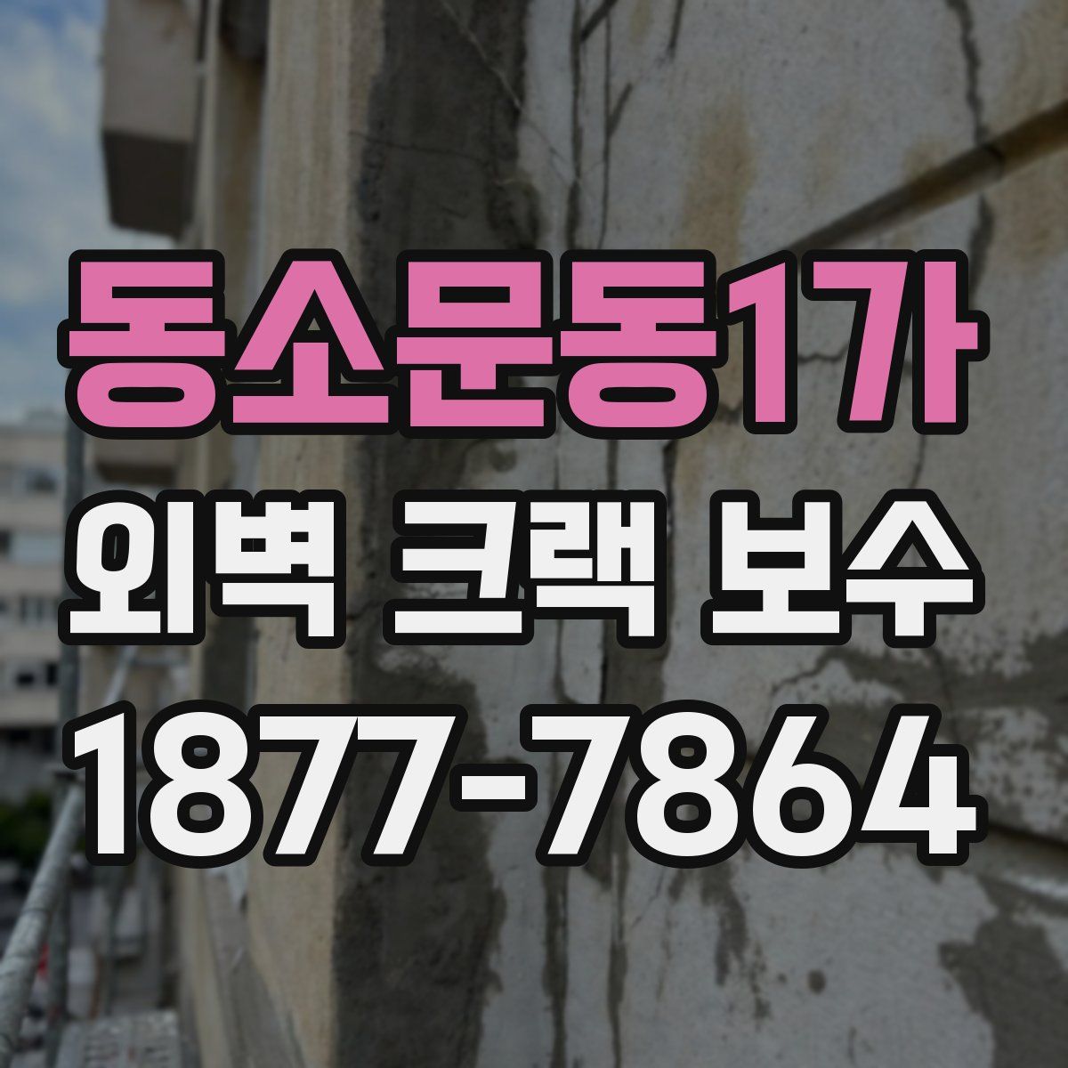 동소문동1가 외벽 크랙 보수