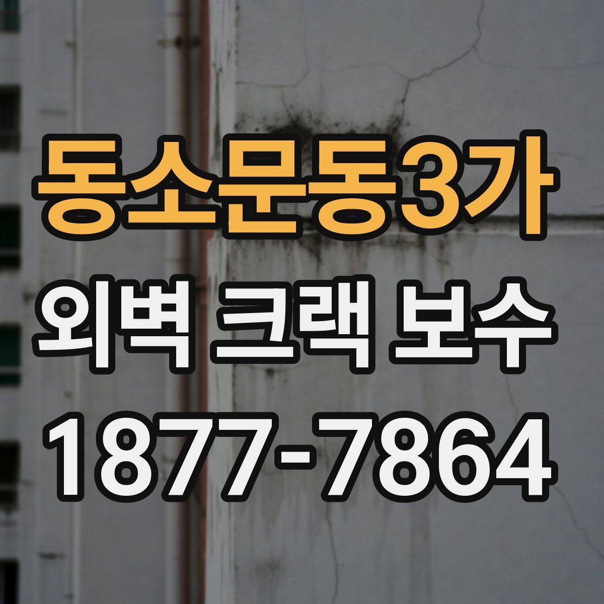 동소문동3가 외벽 크랙 보수