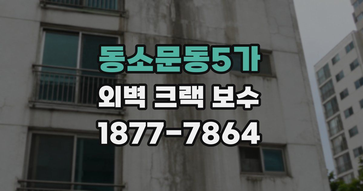 동소문동5가 외벽 크랙 보수