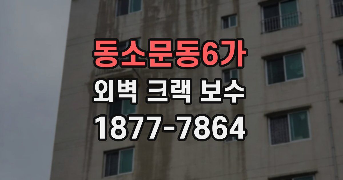 동소문동6가 외벽 크랙 보수