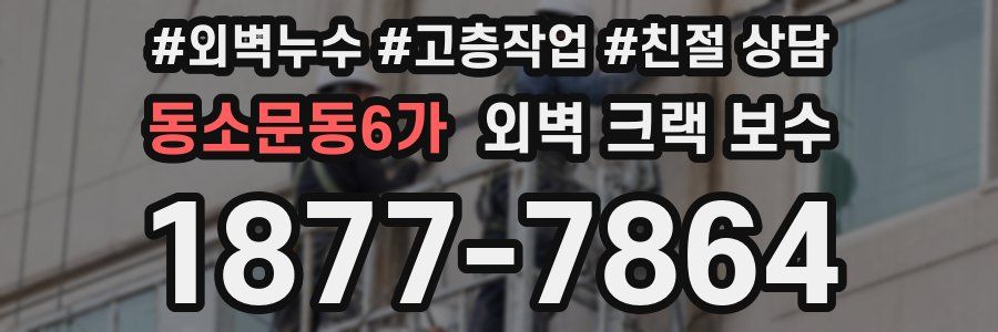 동소문동6가 외벽 크랙 보수