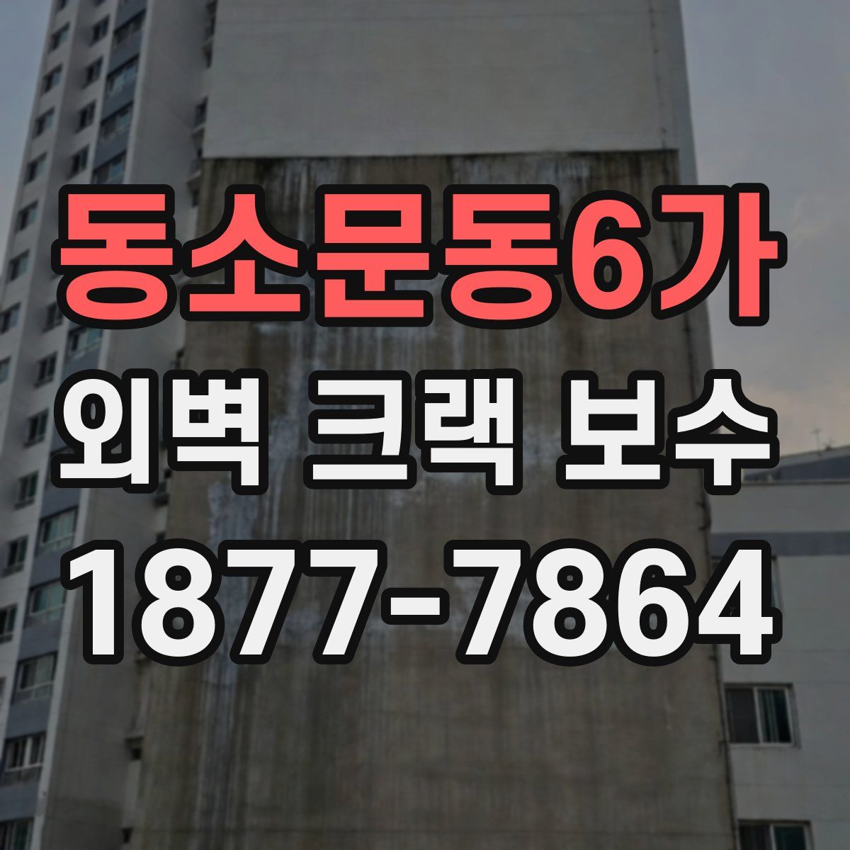 동소문동6가 외벽 크랙 보수