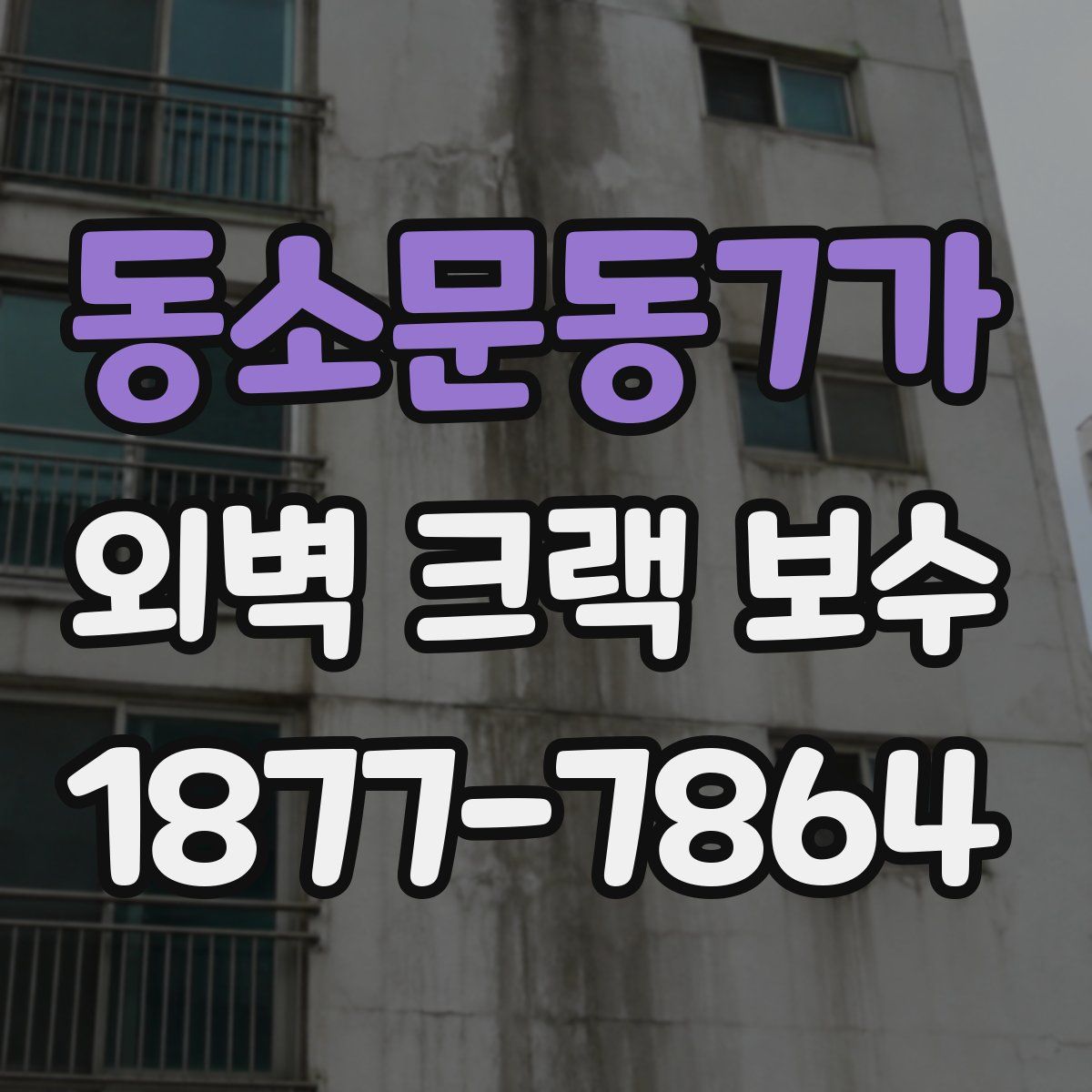 동소문동7가 외벽 크랙 보수