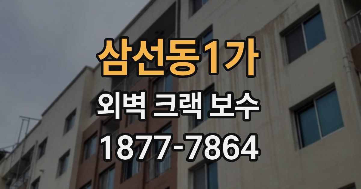 삼선동1가 외벽 크랙 보수