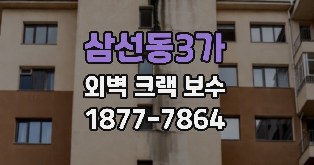 삼선동3가 외벽 크랙 보수