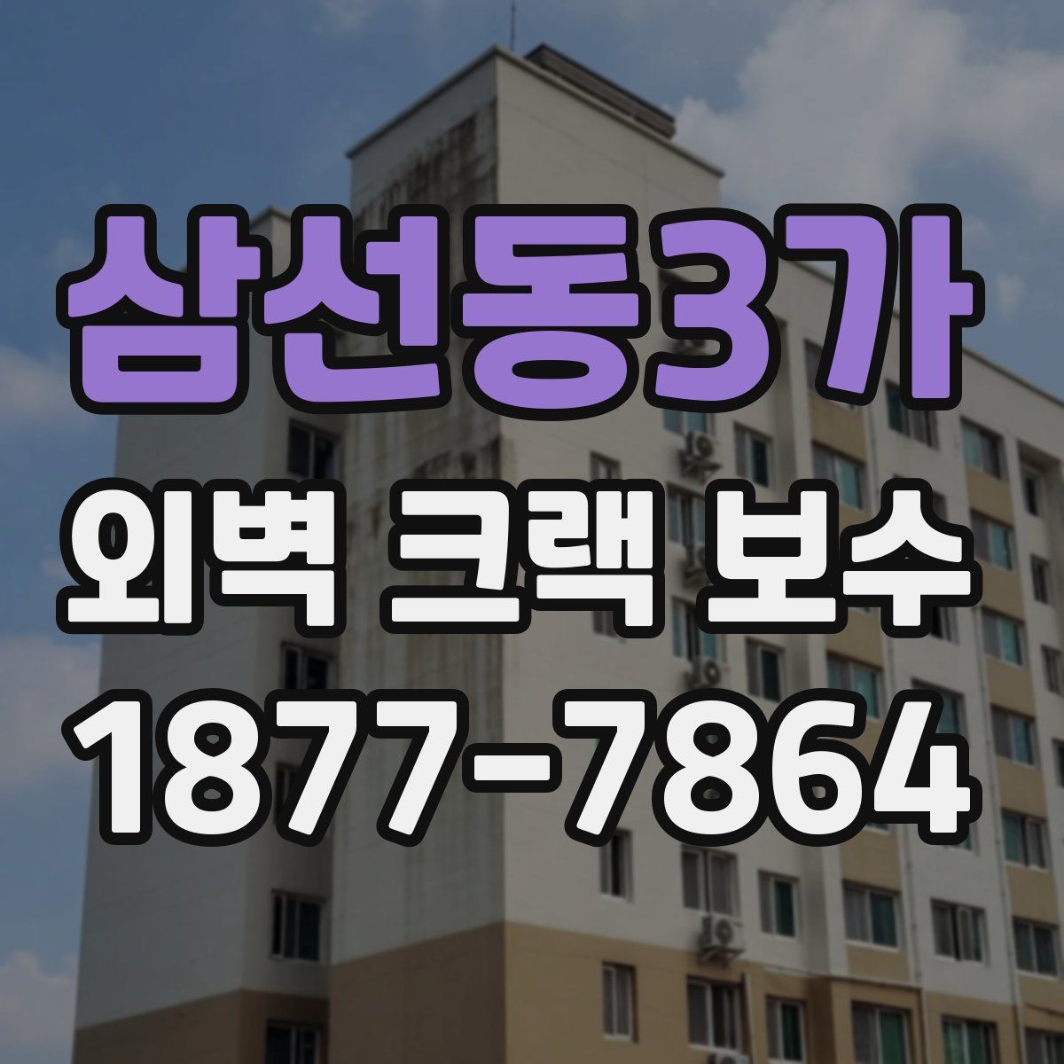 삼선동3가 외벽 크랙 보수