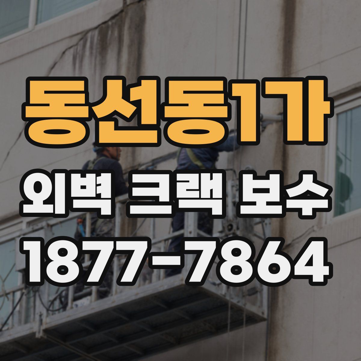동선동1가 외벽 크랙 보수