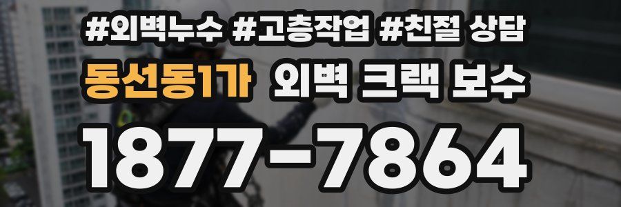 동선동1가 외벽 크랙 보수