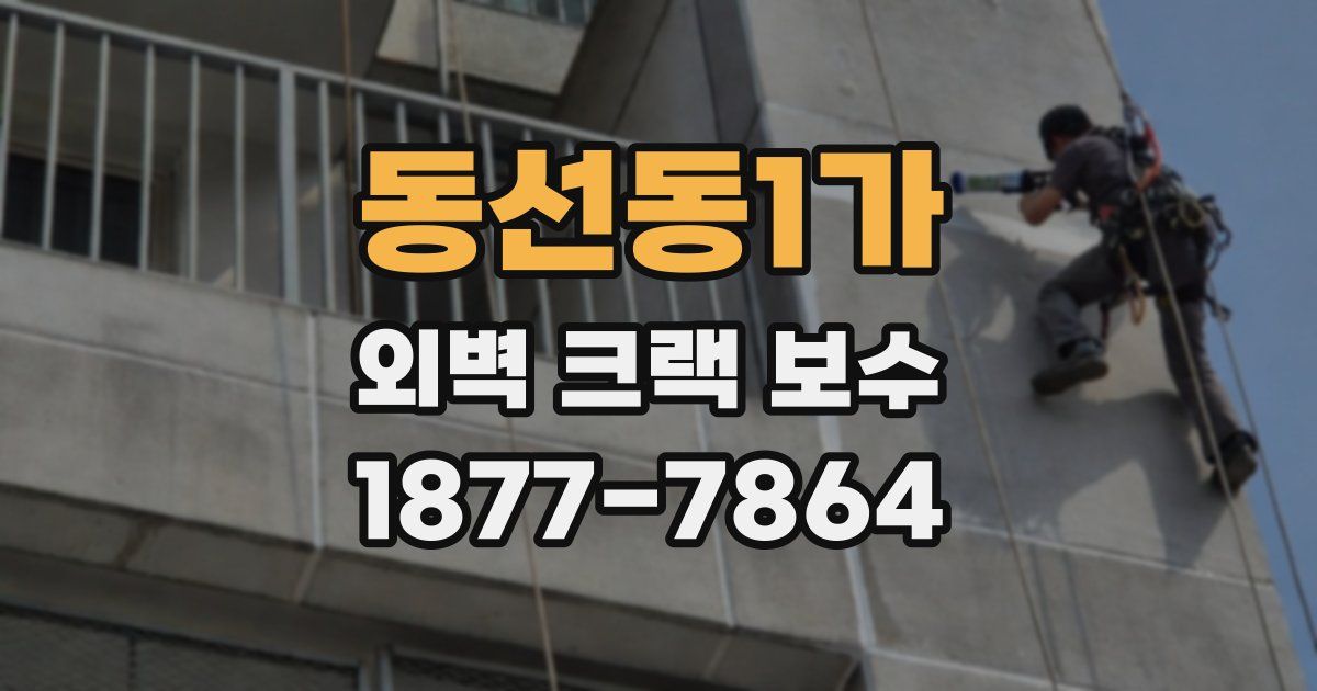 동선동1가 외벽 크랙 보수