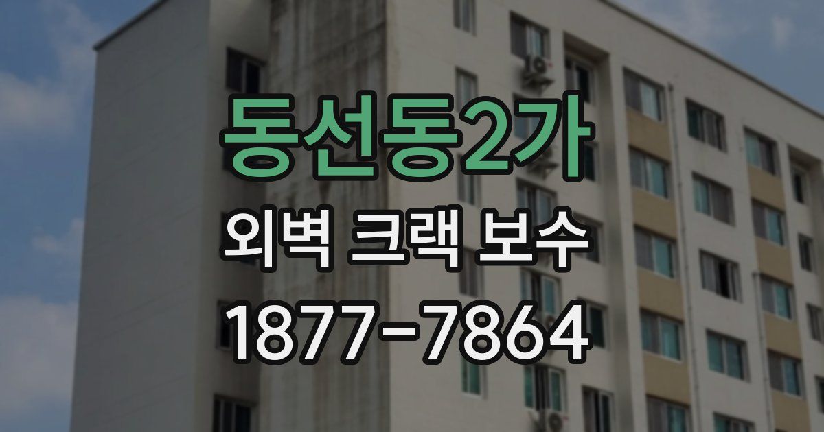 동선동2가 외벽 크랙 보수