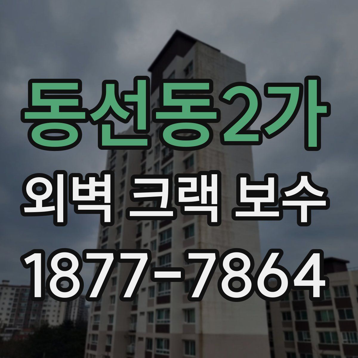동선동2가 외벽 크랙 보수